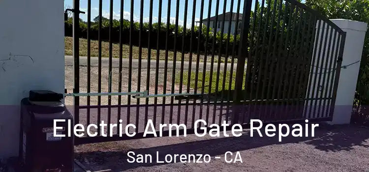 Electric Arm Gate Repair San Lorenzo - CA